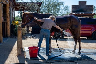Fay at the horse wash