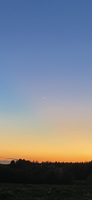 Another Sunset 