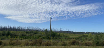Big sky