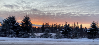 Morning Winter