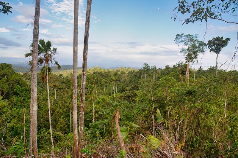 Aketajawe-Lolobata Landscape