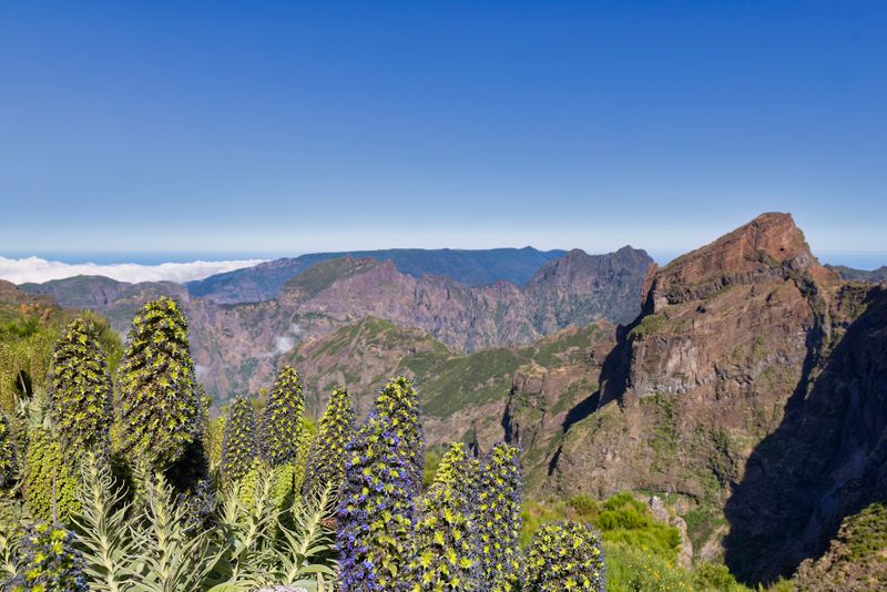 Pico do Arieiro