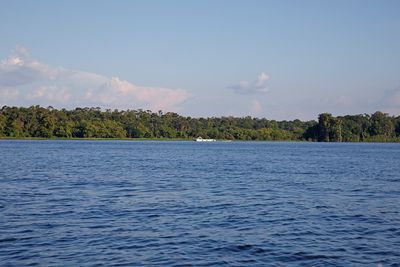 BRA50234 copia.jpg