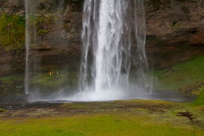 IMG_4910 copia.jpg