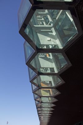 IMG_3475 copia.jpg