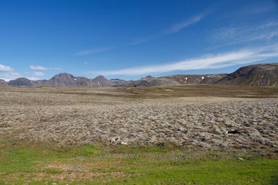 IMG_3592 copia.jpg
