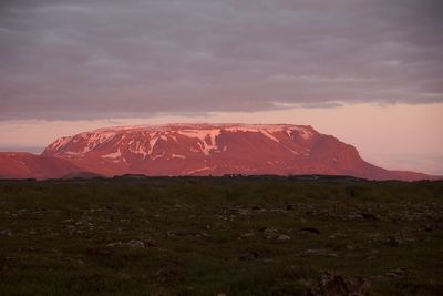 IMG_4375 copia.jpg