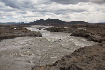 IMG_4387 copia.jpg