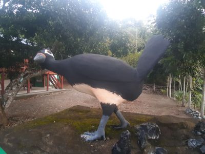 20230912_173221.jpg