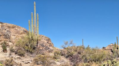 20250425_083627.jpg