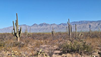 20250425_081736.jpg