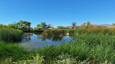 20250420_082158.jpg