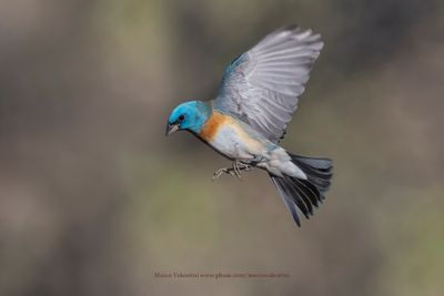g13/32/1250632/3/175444012.b76bc16f.JPEG