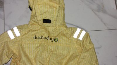 86-92 DUCKS DAY detail