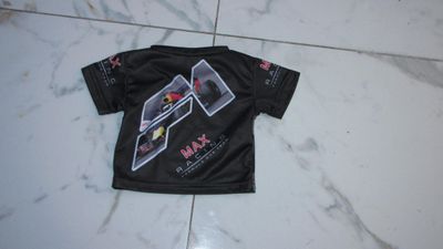 56 MAX VERSTAPPEN akant