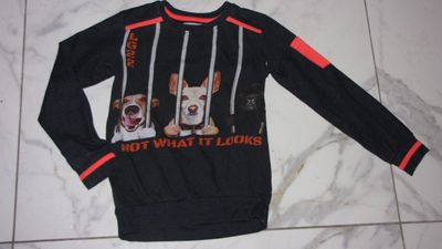 122-128 LEGENDS honden sweater 16,00