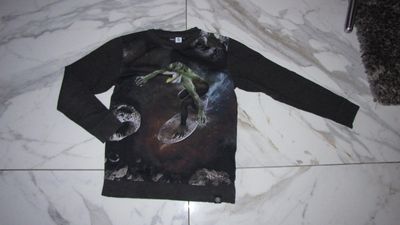 140 MOLO leguaan op skateboard 17,50
