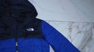 176 THE NORTH FACE winterjas detail