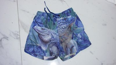 116 WILD leguaan zwembroek  15,50