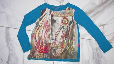 104 STONES AND BONES paard longsleeve 11,50