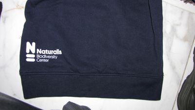 110-116 DINOAURUS hoody detail akant