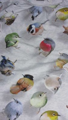 122-128 molo vogel jurk nwdet.jpg