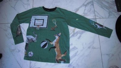 164 MOLO basketball hond longsleeve 10,00