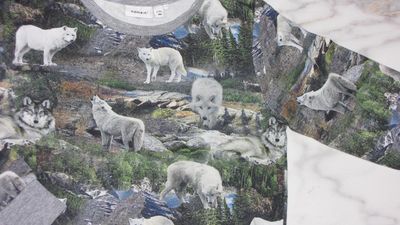 98 NAME IT it wolf detail