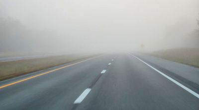 20231012_071111 Thicker fog.jpg