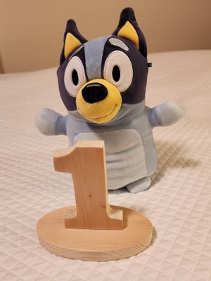 20231018_213629 Bluey and 1 sign.jpg