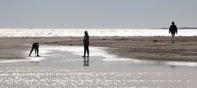 6P5A3994 Playing on Sullivans Island.jpg