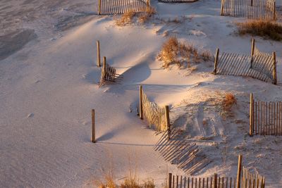 6P5A5219 Wind break at WIld Dunes.jpg