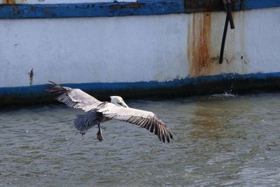 6P5A5552 Landing time.jpg