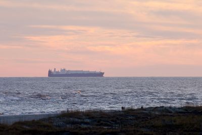 6P5A5932 ARC Lines vehicle carrier.jpg