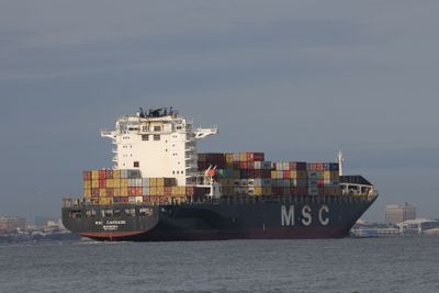 6P5A6360 The MSC Carouge in Charleston harbor.jpg