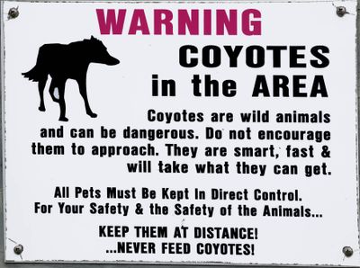 6P5A6671 Sullivans Island Coyote sign.jpg