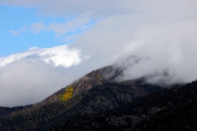 6P5A5097 Sangre de Christo yellow spot.jpg