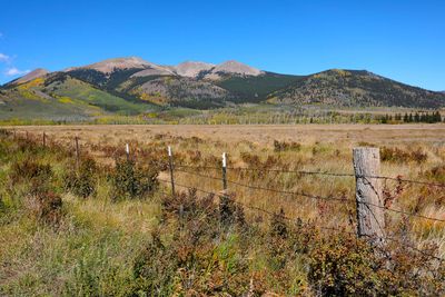 0T5A0102 Boreas Mtn.jpg