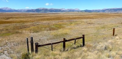 0T5A0111 Taryall area.jpg