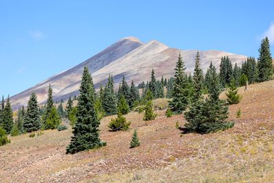 6P5A5935 Boreas Mtn.jpg
