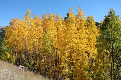 0T5A0145 Near Taylor Park.jpg