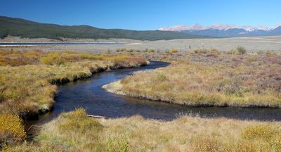 0T5A0148 Willow Creek at Taylor Park.jpg
