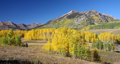 0T5A0185 Gothic CO area.jpg