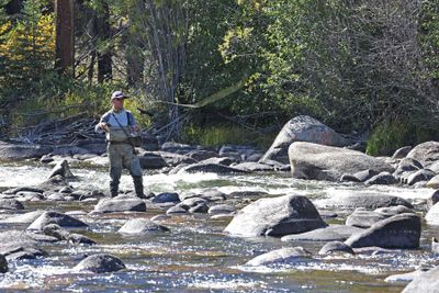 6P5A6564 Taylor River fly fisherman.jpg