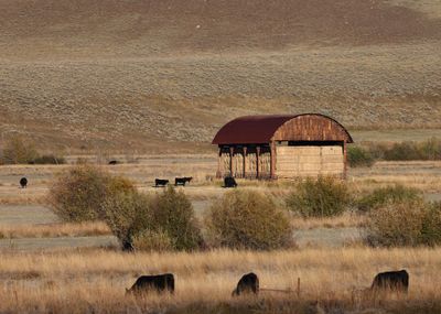 6P5A6750 Hay barn on Ohio Creek Rd.jpg