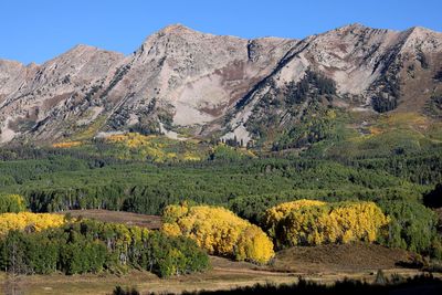 6P5A6895 Ohio Creek Rd view.jpg