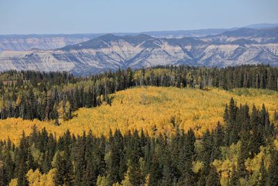 6P5A7406 Grand Mesa view.jpg