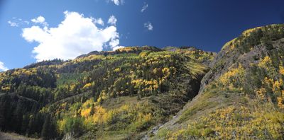 0T5A0409 Along the Million Dollar Highway.jpg