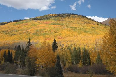 0T5A0424 Million Dollar Highway brilliant hillside.jpg
