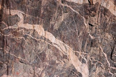 6P5A7671 BCOTG Veining detail.jpg